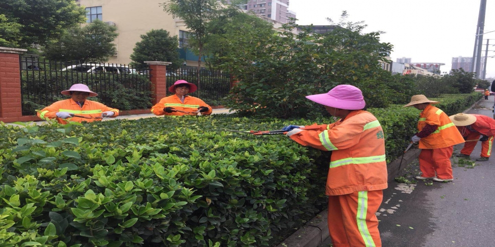新站區(qū)道路清掃保潔、綠化管養(yǎng)項(xiàng)目